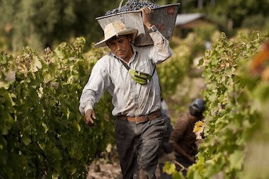 Vinařství_Familia Furlotti_OceněnáVína_CZ (1)